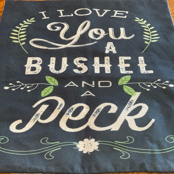 “I Love You A Bushel And A Peck” Pillow Cover, 17”x17” - Picture 2 of 5
